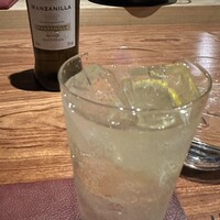 Potoro - 