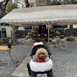 そば処 湧水 - 前のワンコのお墓参り