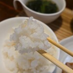 キッチン ブルー グローブ - ご飯か進む、足らないか？