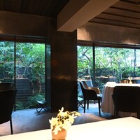 レフェルヴェソンス - 