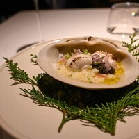 レフェルヴェソンス - 