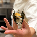 寿司 松岡 - めひかり