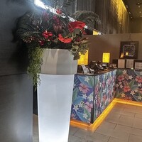 リュクス ダイニング ハプナ - 