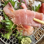 四季彩家 なり駒 - 