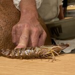 天ぷら 極 - 海老！