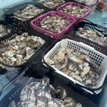 海鮮かき焼かくれ家 - 