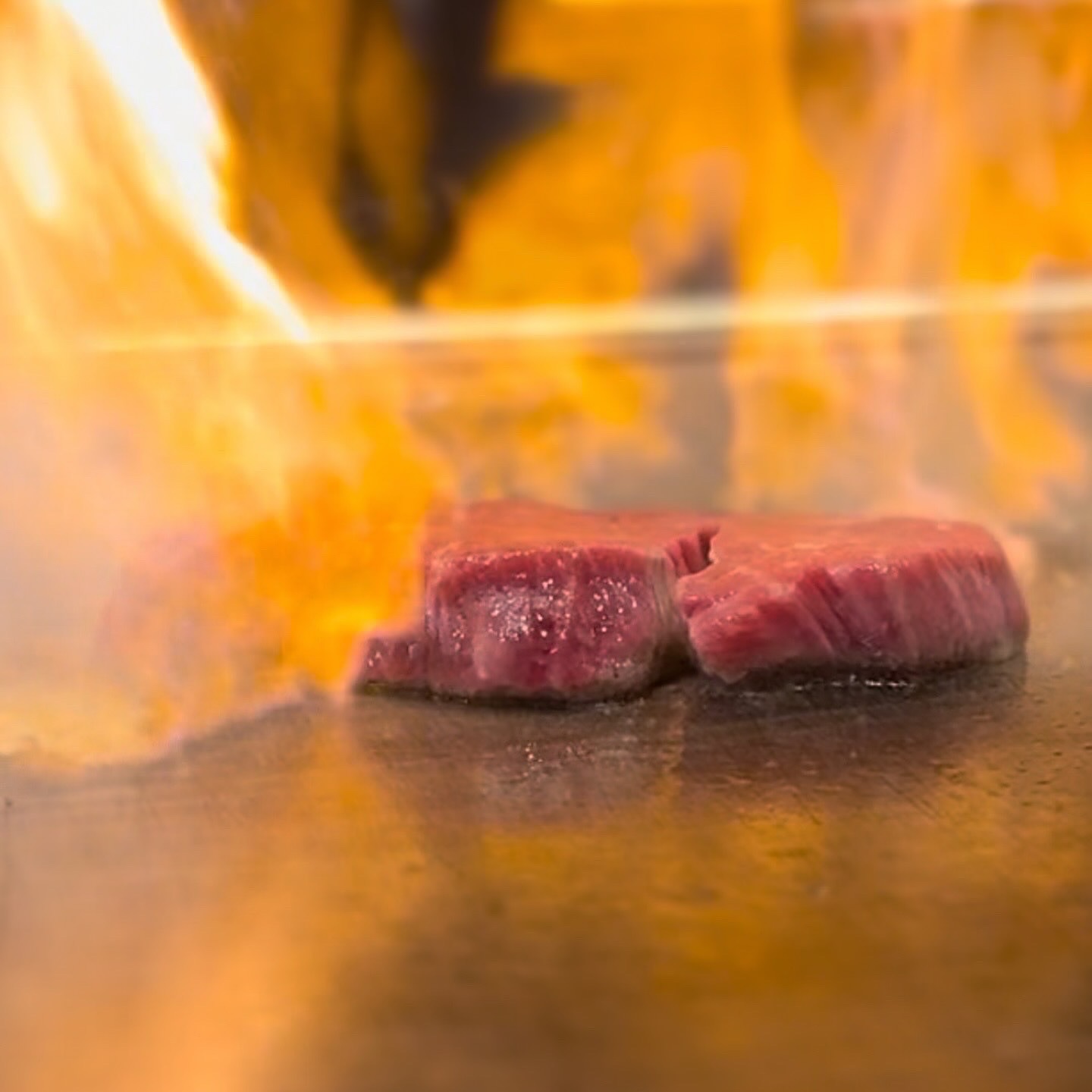小学生 投稿画像  無修正  GIF 写真 : SAI．teppan 天神橋 - 天神橋筋六丁目/鉄板焼き | 食べログ