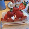 FRUIT 御堂筋店