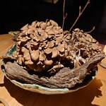 レスピラシオン - Setas 舞茸：大きくて立派な舞茸