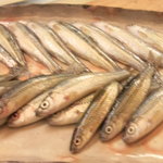 割烹 やました - もろこ