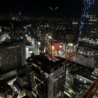 タワーズバー ベロビスト - 