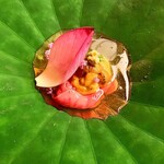 にくの匠 三芳 - 