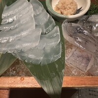 寅八商店 心斎橋店 -  寅八商店 心斎橋店 -