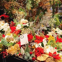 boB the garden Ginza - 