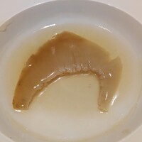家寶 跳龍門 - フカヒレの煮込み