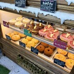 Little Bear Meister - 