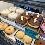 Little Bear Meister - 