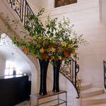 ガストロノミー ジョエル・ロブション - 2014年5月　エントランスの花もキレイです。