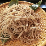 苔清庵 - 手挽き田舎そば大盛りup