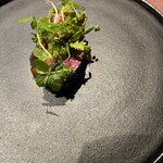 278524045 - 