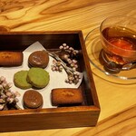 アドアステラ - 