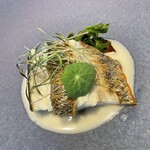 アドアステラ - 