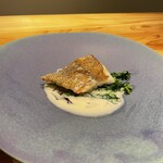 アドアステラ - 