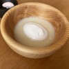 MORI NO GOHAN - 