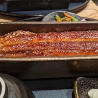 うなぎ四代目菊川 ミッドランドスクエア 名古屋本店 - 