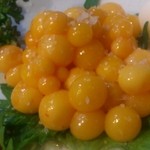 山女庵 - 卵、殻に包まれる前