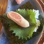 WABAR FUTAKOTAMAGAWA - 