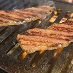 TORERO SHIMOKITAZAWA - 