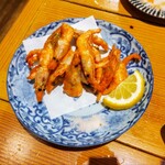 ヒロシマホップス - 