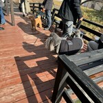 地粉や - ワンチャン連れもテラス席に