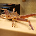 うを徳 - 蟹（入浴前）