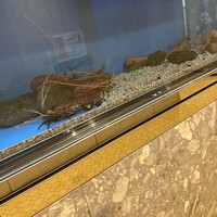 中納言 大阪駅前第3ビル店 - 