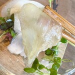 catoe - 透き通った相馬産ヒラメ