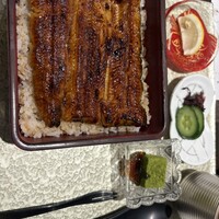 割烹蒲焼 横浜八十八 NEWoMan横浜店 - 