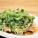 餃子とスパークリング バブルス - サラダ餃子