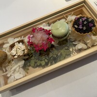 一穀一枝 - 
