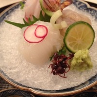 京料理 木乃婦 - お造り