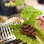 焼肉 肉どうし - チシャ菜で巻いて