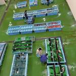 三崎「魚市場食堂」 - 