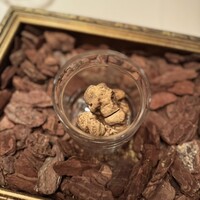 Terres de Truffes, Tokyo - 