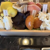 シャングリラズシークレット 銀座店 - 