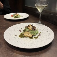 オッジ ダルマット 西麻布店 - 