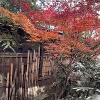 赤坂 津つ井 総本店 - 