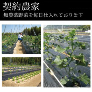 無農薬野菜を毎日仕入れています★