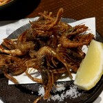 酒と食遊人 みなと - ガスエビ唐揚げ