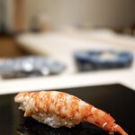 鮨 おとわ - 車海老